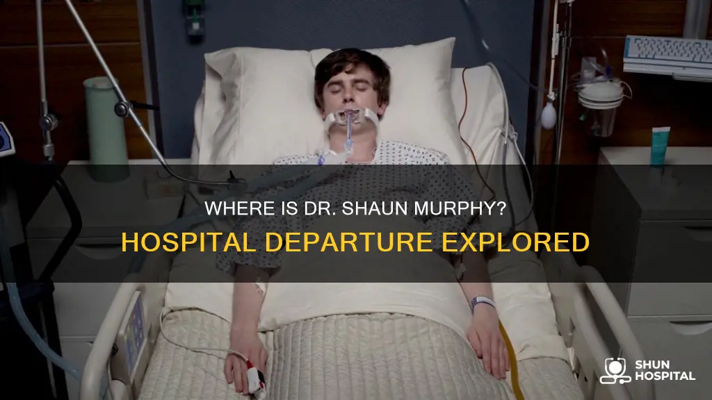 does dr shaun murphy leave the hospital