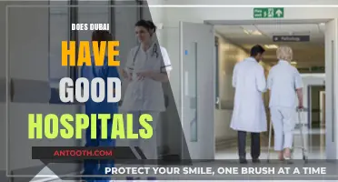 Dubai's Healthcare Excellence: Exploring the Quality of Its Hospitals