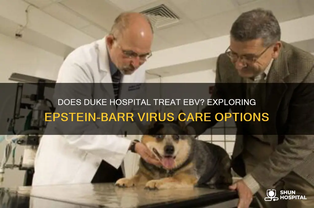 does duke hospital treat ebv