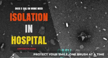 E. Coli in Urine: Hospital Isolation Necessary or Not?