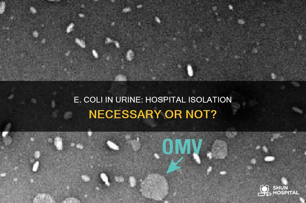 does e coli in urine need isolation in hospital