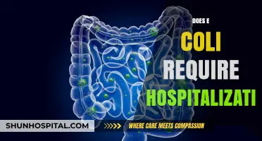 Does E. Coli Require Hospitalization? Understanding Symptoms and Treatment