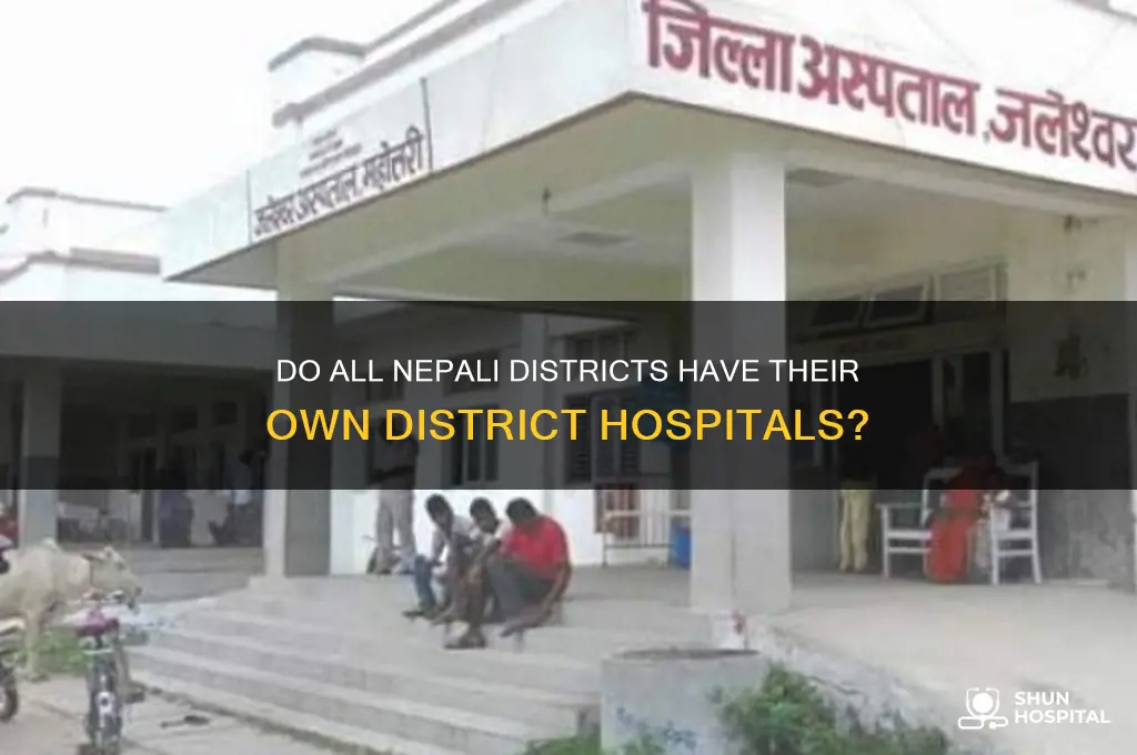 does each district in nepal have a district hospital