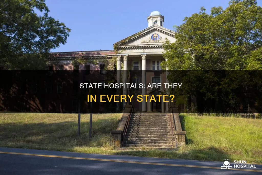 does each state have a state hospital
