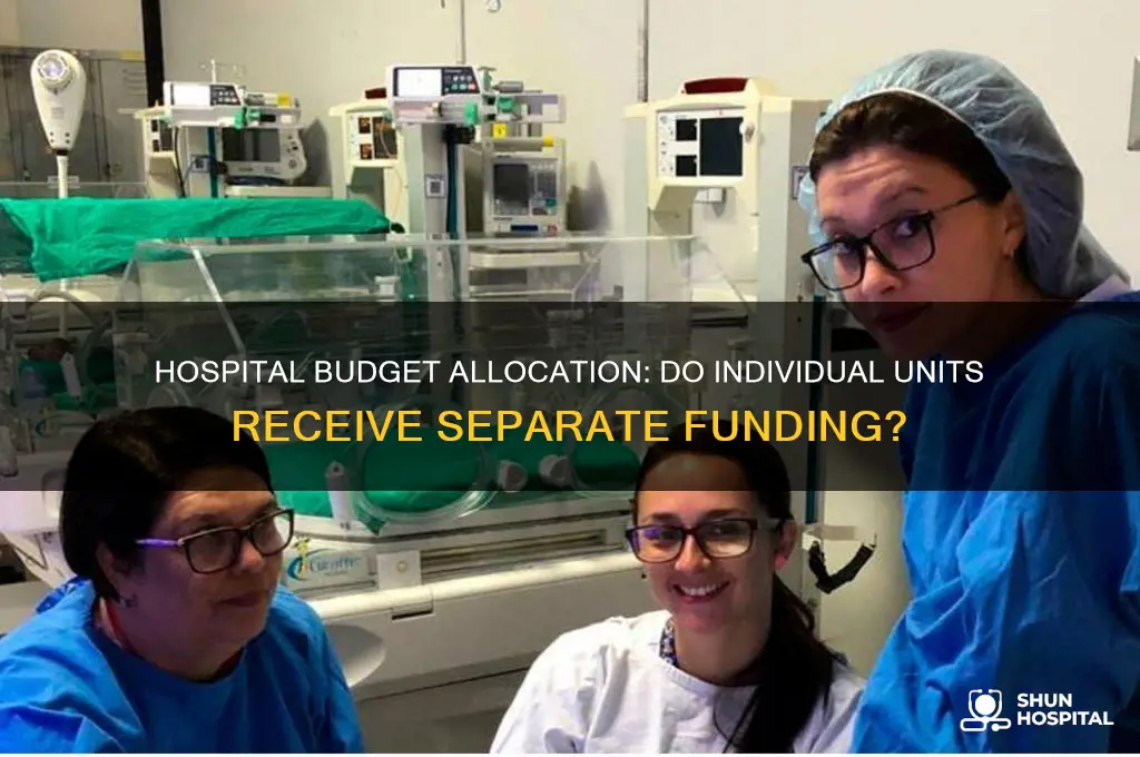 does each unit of a hospital have a different budget