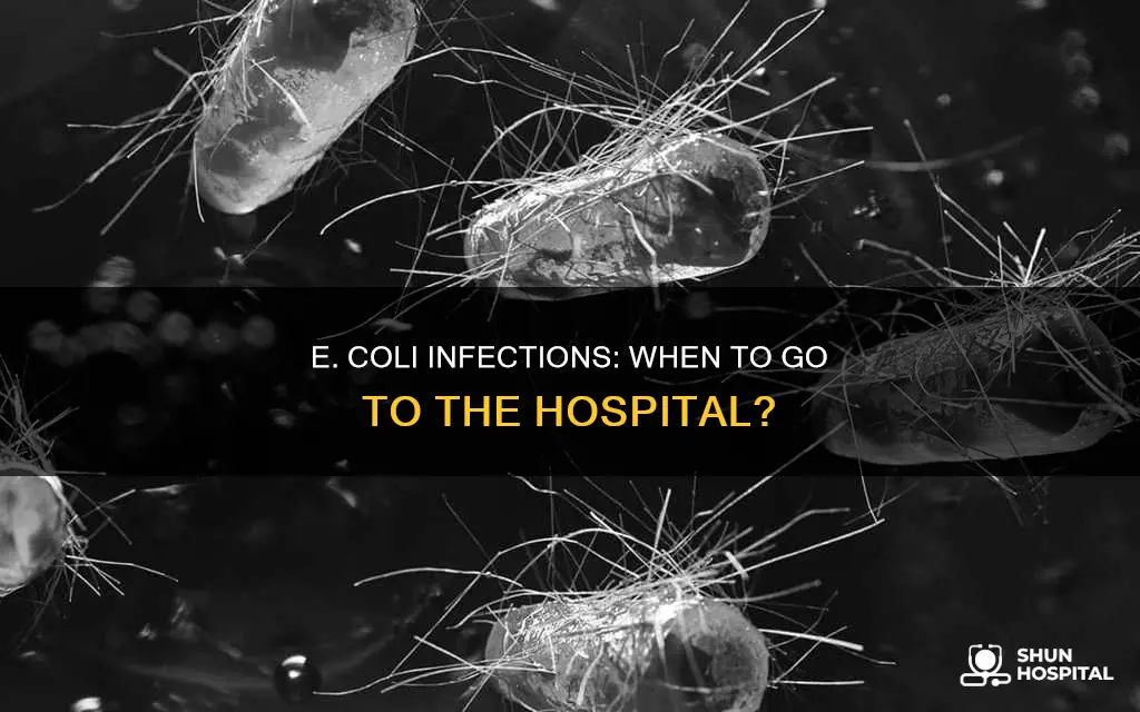 does ecoli put you in the hospital