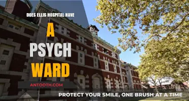Psych Ward Access: Ellis Hospital's Mental Health Services