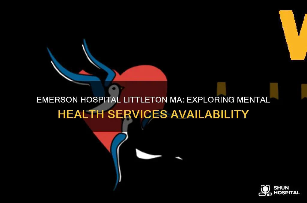 does emerson hospital in littleton ma have a psych unit