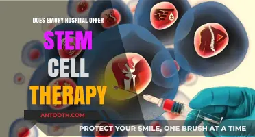 Emory Hospital: Exploring Stem Cell Therapy Options