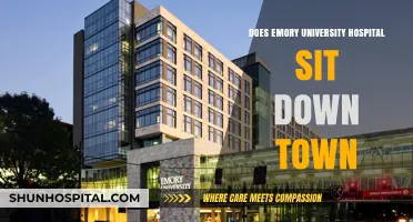 Emory University Hospital: Downtown Atlanta's Medical Hub?