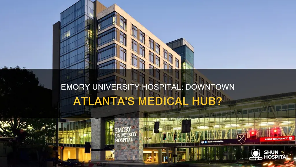 does emory university hospital sit down town