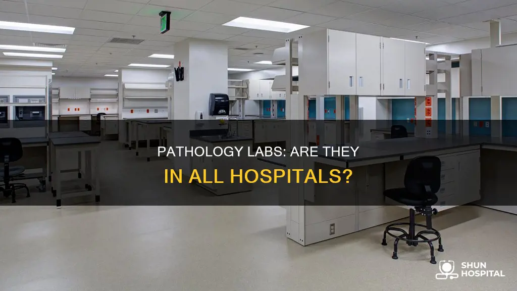 does every hospital have a pathology lab