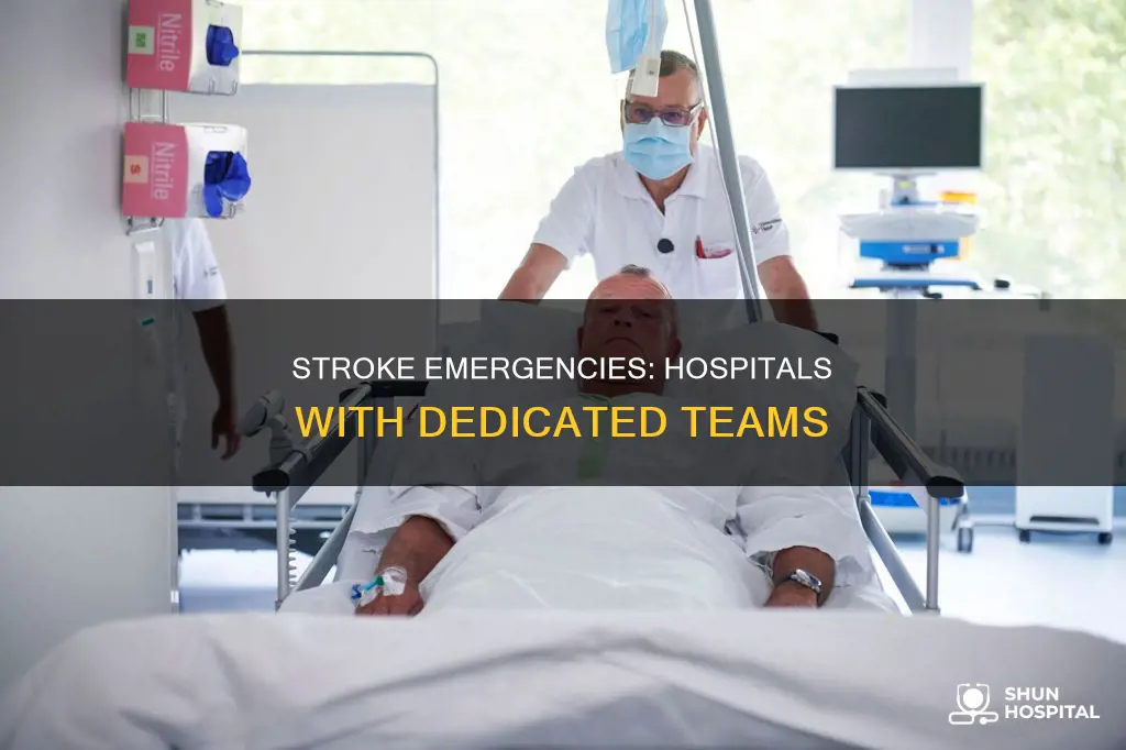 does every hospital have a stroke team