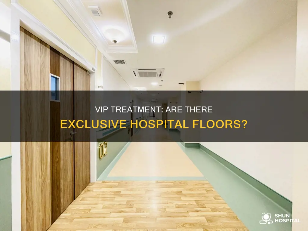 does every hospital have a vip floor