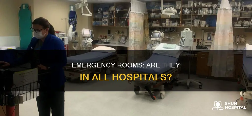 does every hospital have an emergency room