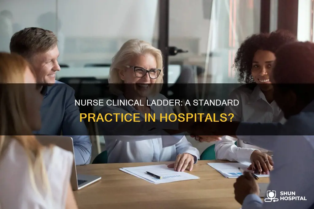does every hospital have nurse clinical ladder