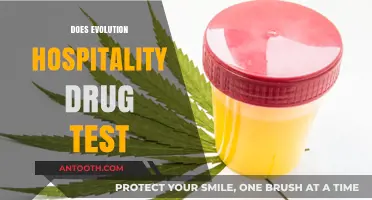 Does Evolution Hospitality Drug Test? What You Need to Know