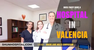 Facey's Valencia Presence: Hospital Care and Community
