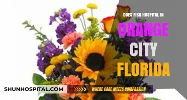 Best Fish Hospital in Orange City, Florida