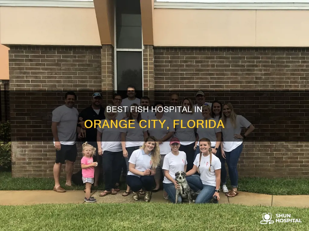 does fish hospital in orange city florida