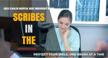 Flagler Hospital's Emergency Room: Do They Utilize Scribe Services?