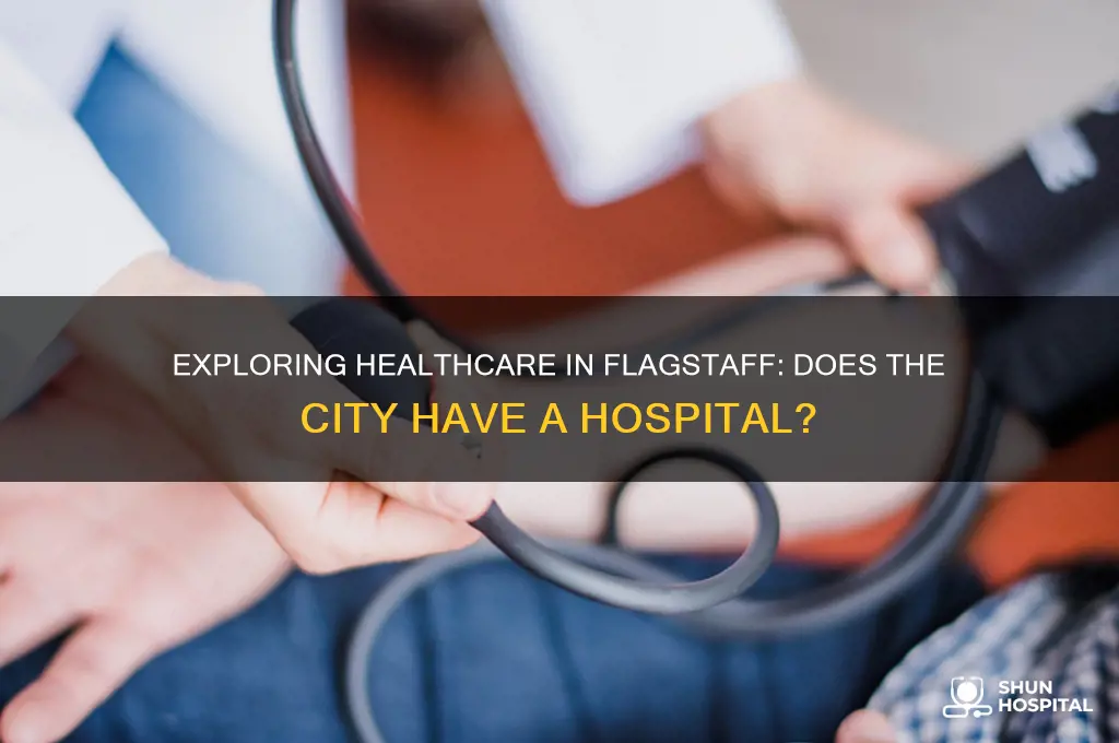 does flagstaff have a hospital