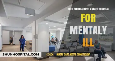 Florida's Mental Health Care: Exploring State Hospital Options for the Ill