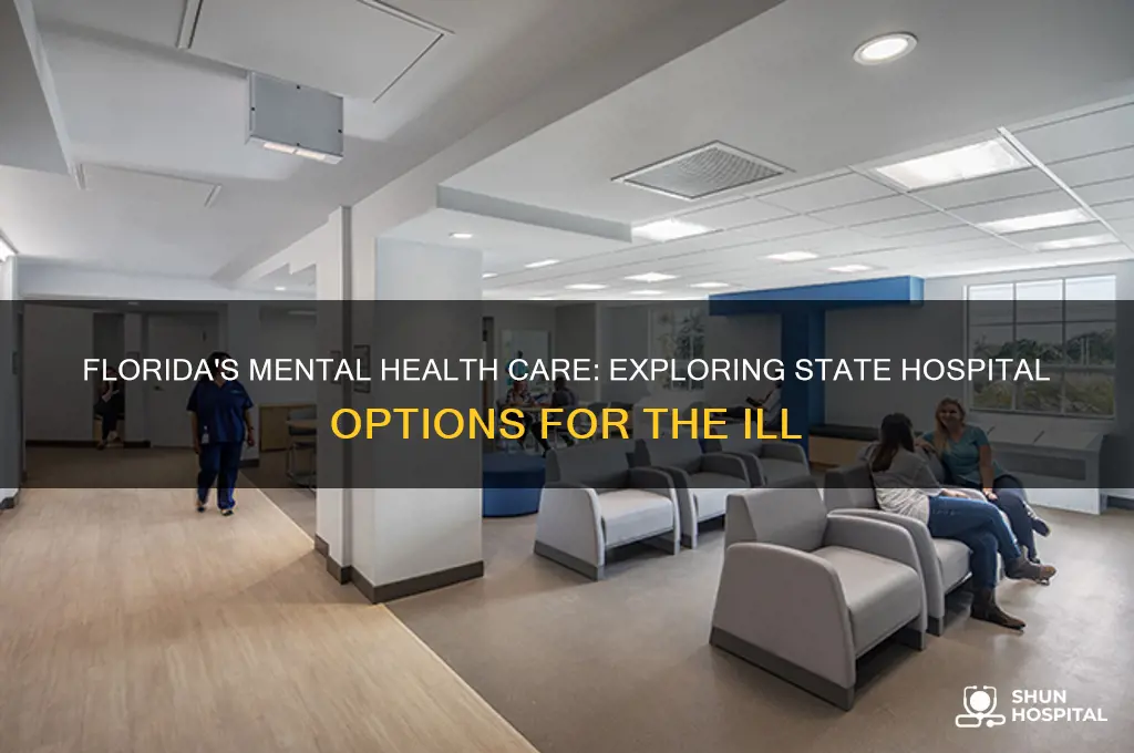 does florida have a state hospital for mentaly ill