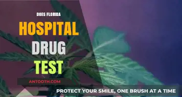 Does Florida Hospital Drug Test? Policies and Procedures Explained