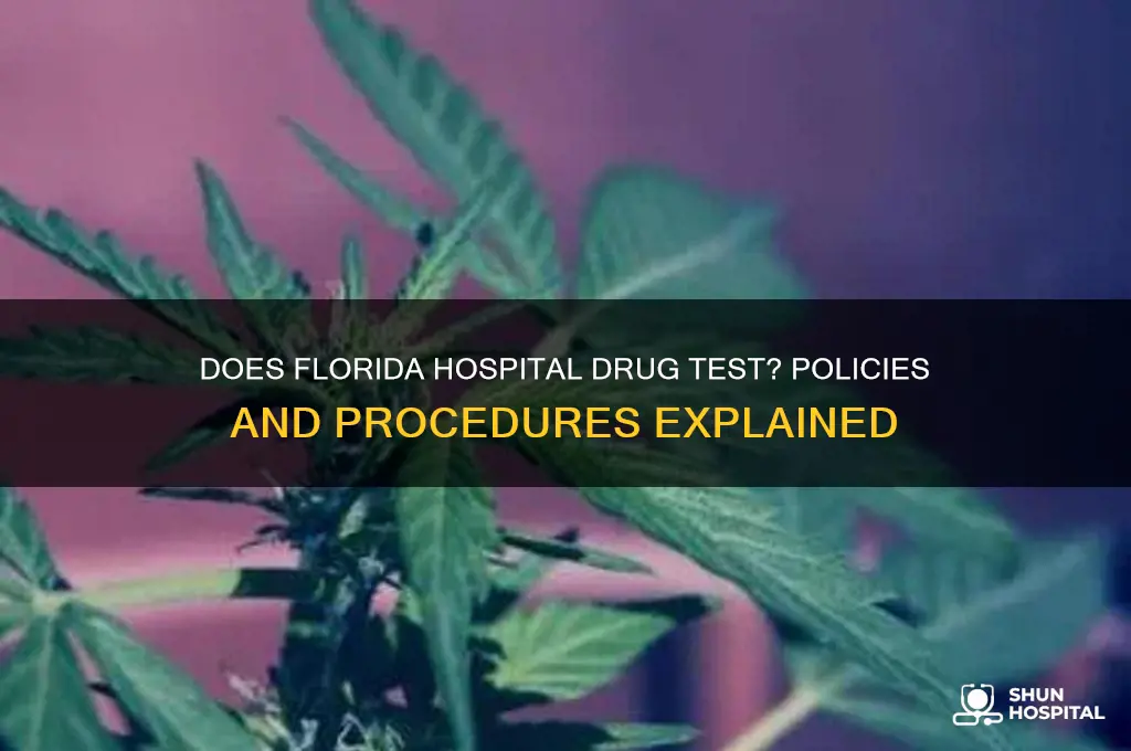 does florida hospital drug test