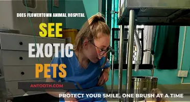 Exotic Pet Owners: Flowertown Animal Hospital's Got You Covered