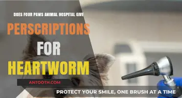 Four Paws Animal Hospital: Heartworm Prescriptions and Pet Care Explained
