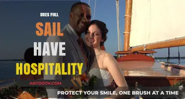 Exploring Full Sail University's Hospitality Programs: Opportunities and Insights
