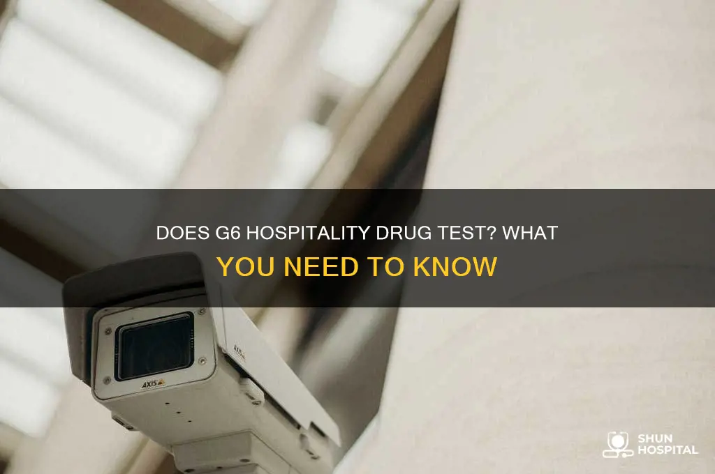 does g6 hospitality drug test