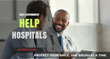 Government Support for Hospitals: Impact, Challenges, and Future Prospects