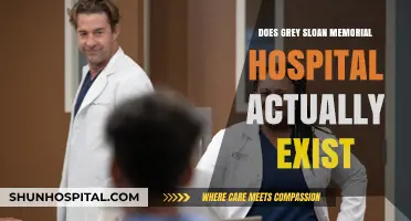 Grey Sloan Memorial Hospital: Fact or Fiction?