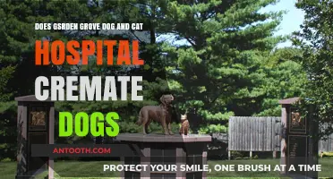 Garden Grove Dog and Cat Hospital Cremation Services Explained
