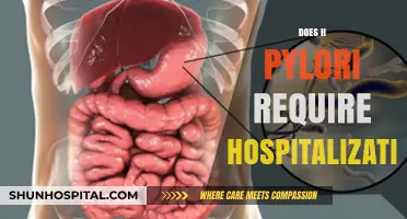 Does H. Pylori Require Hospitalization? Understanding Treatment and Care Options