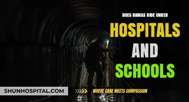 Hamas' Tactics: Hospitals and Schools as Shields
