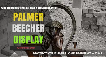 Harborview Hospital's Ross Palmer Beecher Display: Permanent or Temporary?