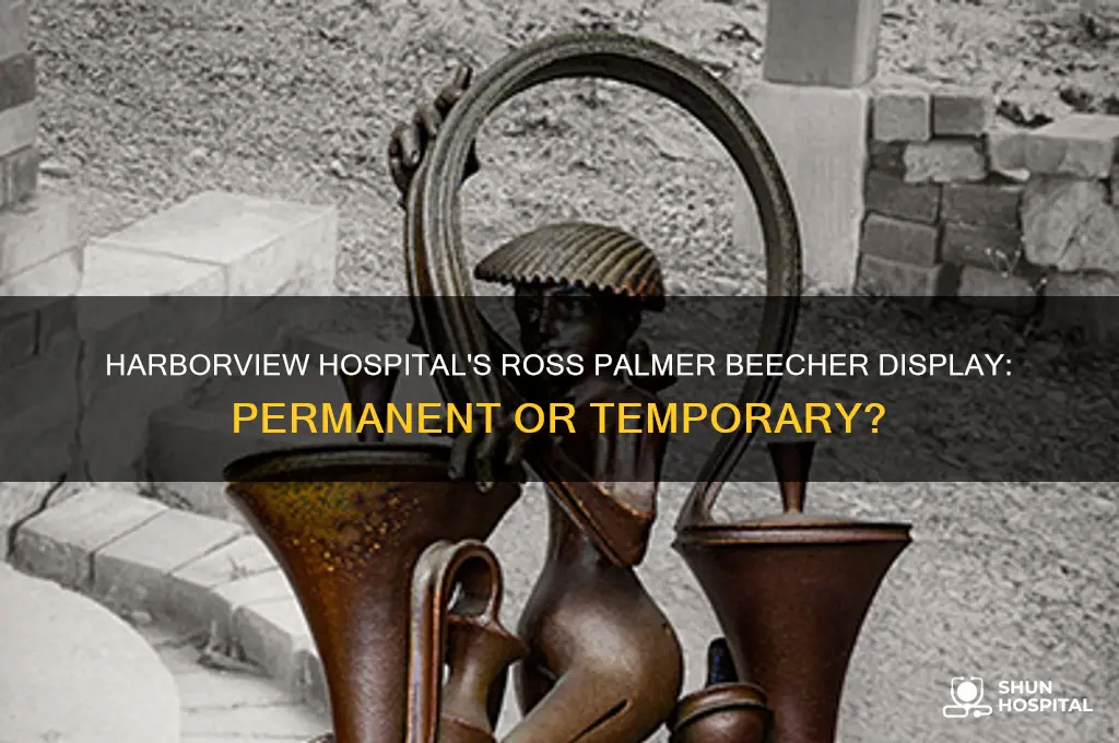 does harborview hospital have a permanent ross palmer beecher display