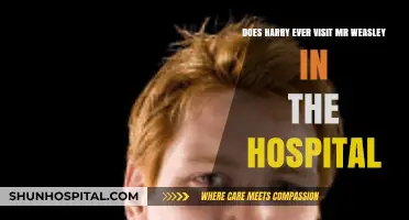 Harry's Hospital Visit: Checking on Mr. Weasley After the Attack