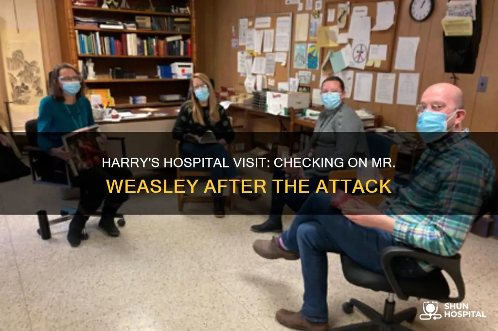 does harry ever visit mr weasley in the hospital