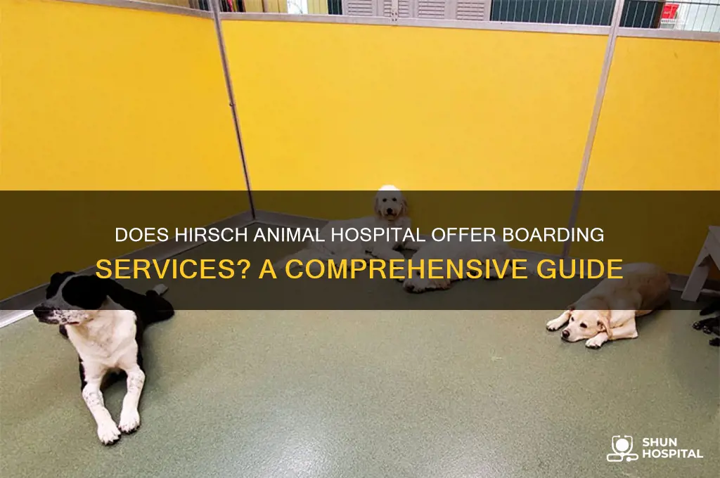 does hirsch animal hospital board