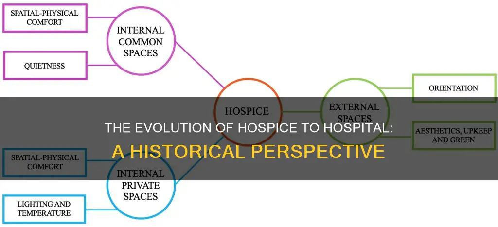 does hospital come from the word hospice
