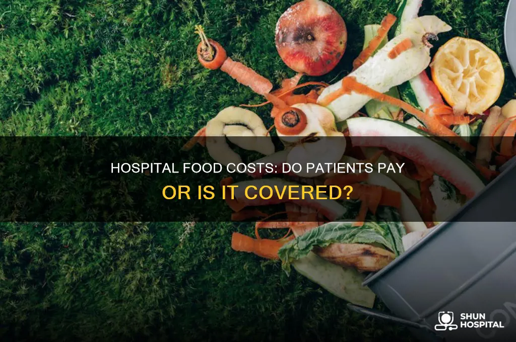 does hospital food cost money