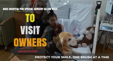Can Dogs Visit Owners at Hospital for Special Surgery?