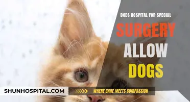 Hospital for Special Surgery: Can You Bring Your Dog?