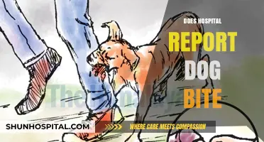 Do Hospitals Report Dog Bites? Understanding Legal and Medical Protocols