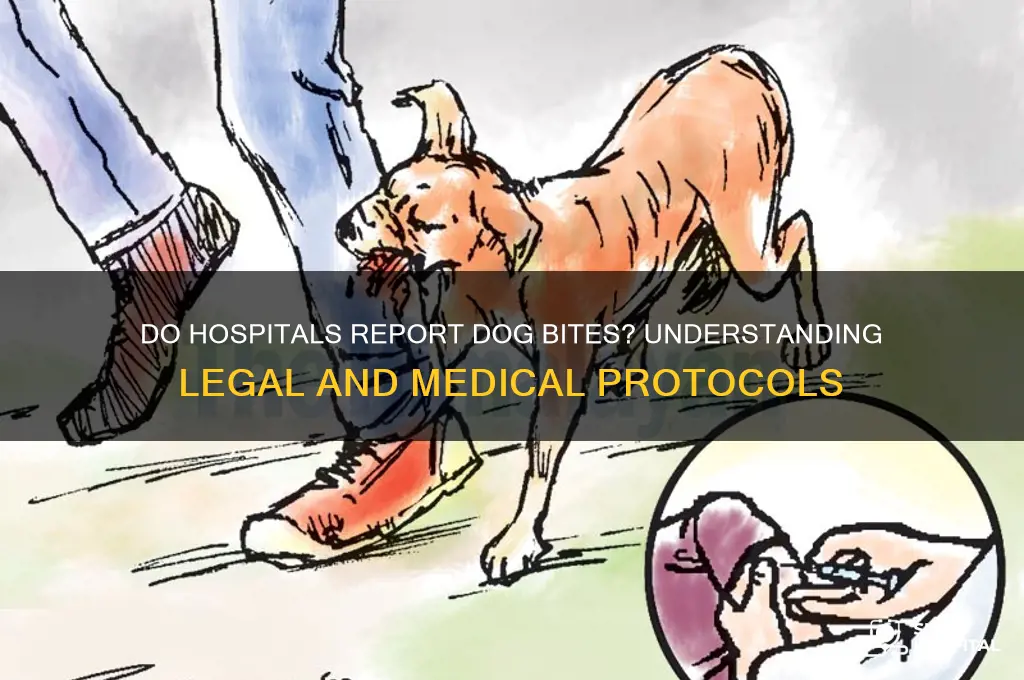does hospital report dog bite